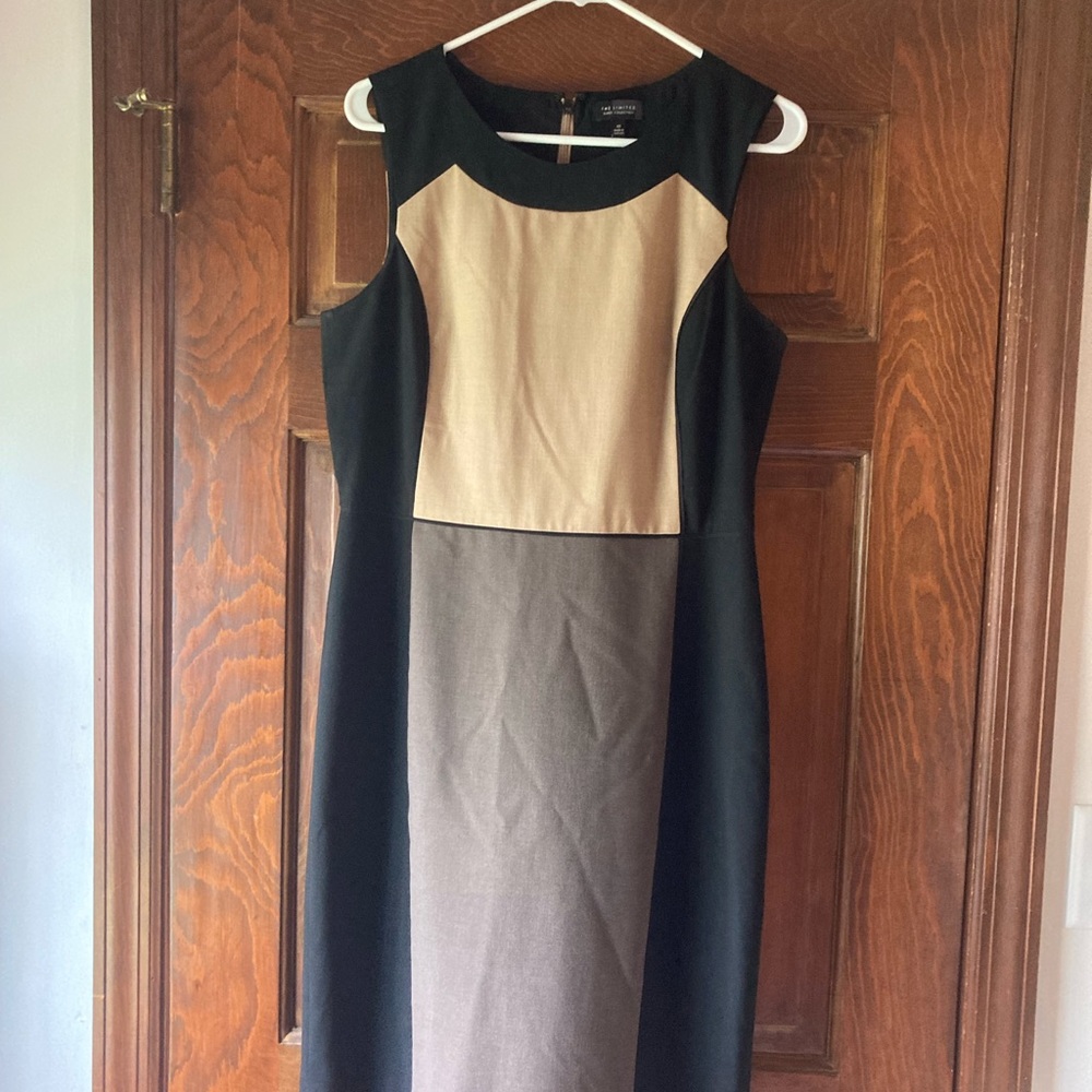 The Limited Dress. Size 10